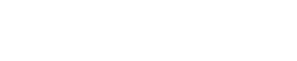 Avalanche Logo White