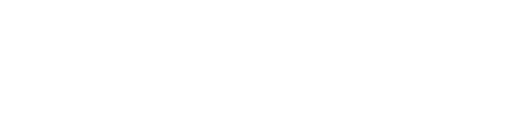 Ethena Stablecoin Logo white