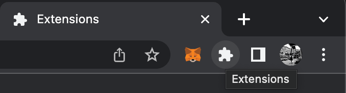 metamask plugin icon in browser