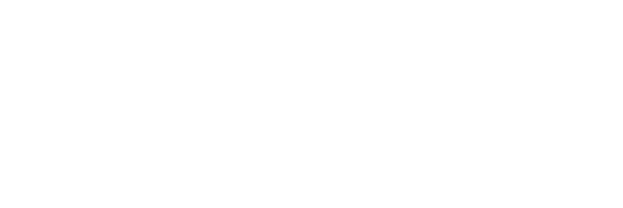 LEDGER-WORDMARK-inverted